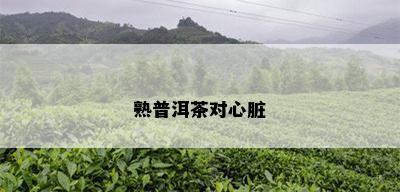 熟普洱茶对心脏