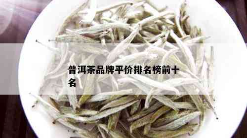 普洱茶品牌平价排名榜前十名