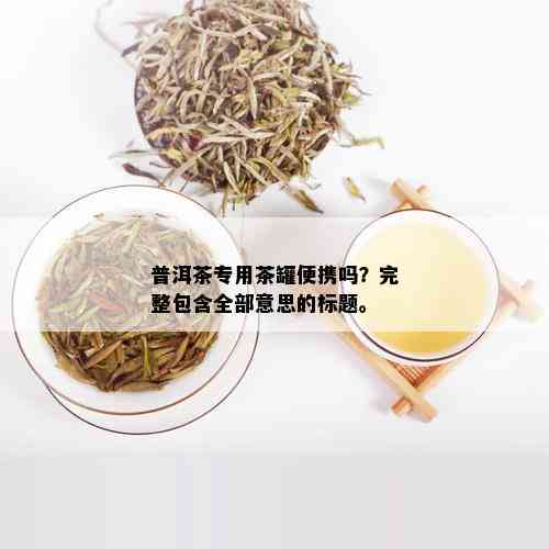 普洱茶专用茶罐便携吗？完整包含全部意思的标题。