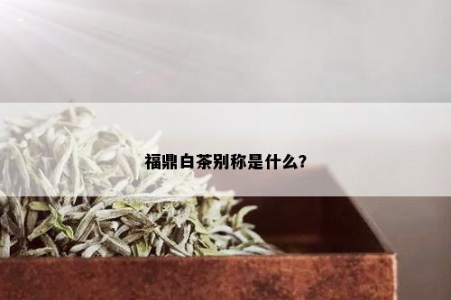 福鼎白茶别称是什么？