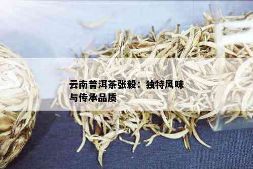 云南普洱茶张毅：独特风味与传承品质