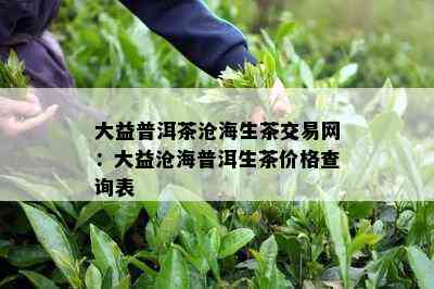 大益普洱茶沧海生茶交易网：大益沧海普洱生茶价格查询表