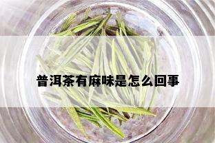 普洱茶有麻味是怎么回事