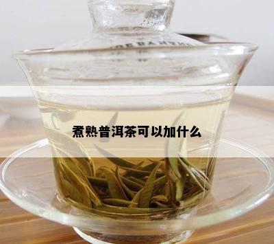 煮熟普洱茶可以加什么