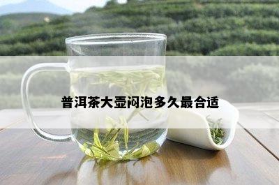 普洱茶大壶闷泡多久最合适