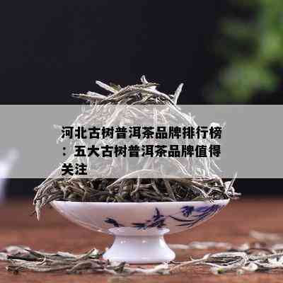 河北古树普洱茶品牌排行榜：五大古树普洱茶品牌值得关注