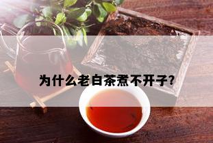 为什么老白茶煮不开子？