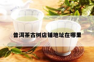 普洱茶古树店铺地址在哪里