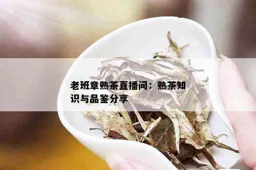 老班章熟茶直播间：熟茶知识与品鉴分享