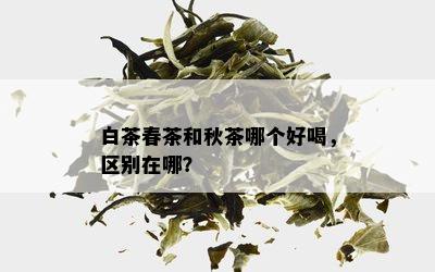 白茶春茶和秋茶哪个好喝，区别在哪？