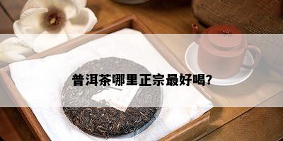 普洱茶哪里正宗更好喝？