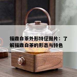 福鼎白茶外形特征图片：了解福鼎白茶的形态与特色