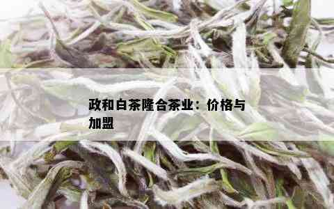 政和白茶隆合茶业：价格与加盟