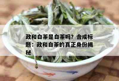 政和白茶是白茶吗？合成标题：政和白茶的真正身份揭秘