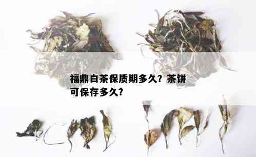 福鼎白茶保质期多久？茶饼可保存多久？