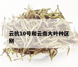 云抗10号和云南大叶种区别