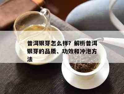 普洱银芽怎么样？解析普洱银芽的品质、功效和冲泡方法