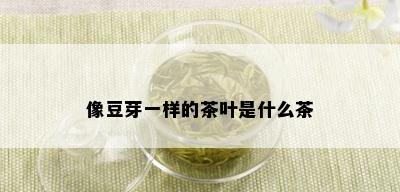 像豆芽一样的茶叶是什么茶