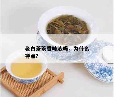 老白茶茶香味浓吗，为什么特点？