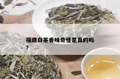 福鼎白茶香味奇怪是真的吗？