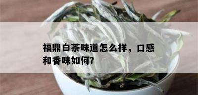 福鼎白茶味道怎么样，口感和香味如何？