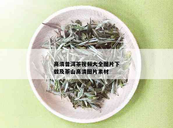 高清普洱茶视频大全图片下载及茶山高清图片素材