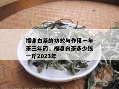 福鼎白茶的功效与作用一年茶三年药，福鼎白茶多少钱一斤2023年