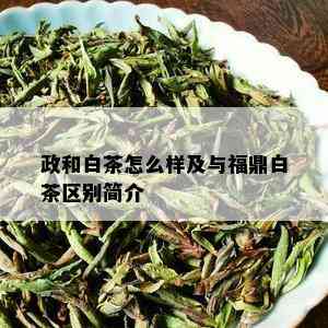 政和白茶怎么样及与福鼎白茶区别简介