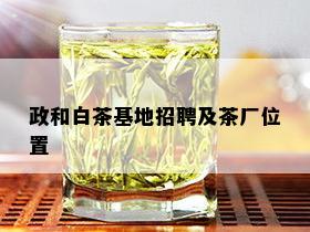 政和白茶基地招聘及茶厂位置