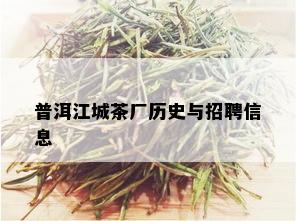 普洱江城茶厂历史与招聘信息