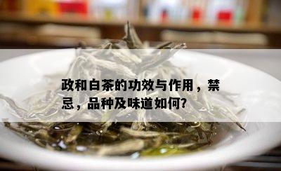 政和白茶的功效与作用，禁忌，品种及味道如何？