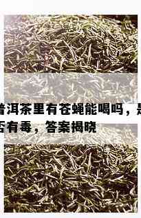 普洱茶里有苍蝇能喝吗，是否有，答案揭晓