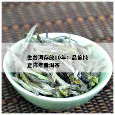 生普洱存放10年：品鉴纯正陈年普洱茶