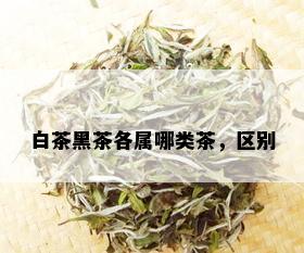 白茶黑茶各属哪类茶，区别