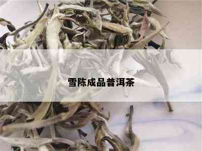 雪陈成品普洱茶