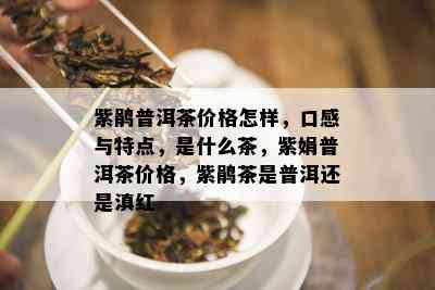 紫鹃普洱茶价格怎样，口感与特点，是什么茶，紫娟普洱茶价格，紫鹃茶是普洱还是滇红