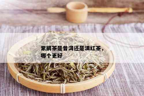 紫鹃茶是普洱还是滇红茶，哪个更好