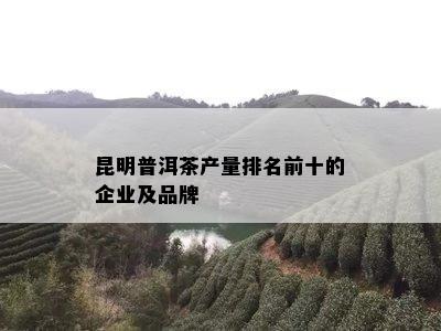 昆明普洱茶产量排名前十的企业及品牌