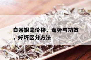 白茶银毫价格、走势与功效，好坏区分方法