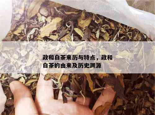 政和白茶来历与特点，政和白茶的由来及历史渊源