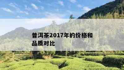 普洱茶2017年的价格和品质对比