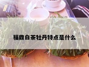 福鼎白茶牡丹特点是什么