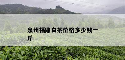 泉州福鼎白茶价格多少钱一斤