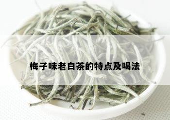 梅子味老白茶的特点及喝法