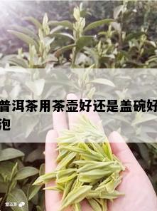 普洱茶用茶壶好还是盖碗好泡