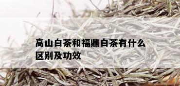 高山白茶和福鼎白茶有什么区别及功效