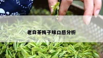 老白茶梅子味口感分析