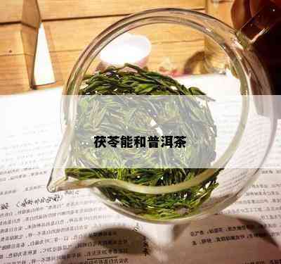 茯苓能和普洱茶