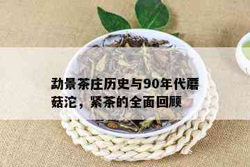 勐景茶庄历史与90年代蘑菇沱，紧茶的全面回顾