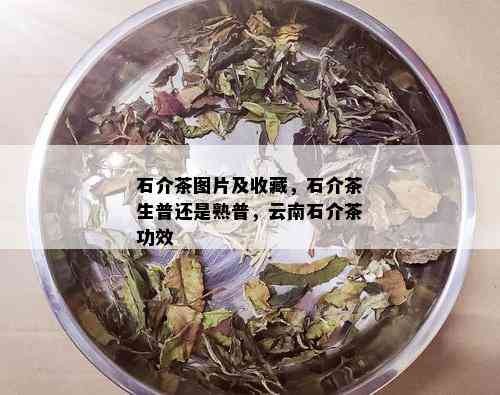 石介茶图片及收藏，石介茶生普还是熟普，云南石介茶功效